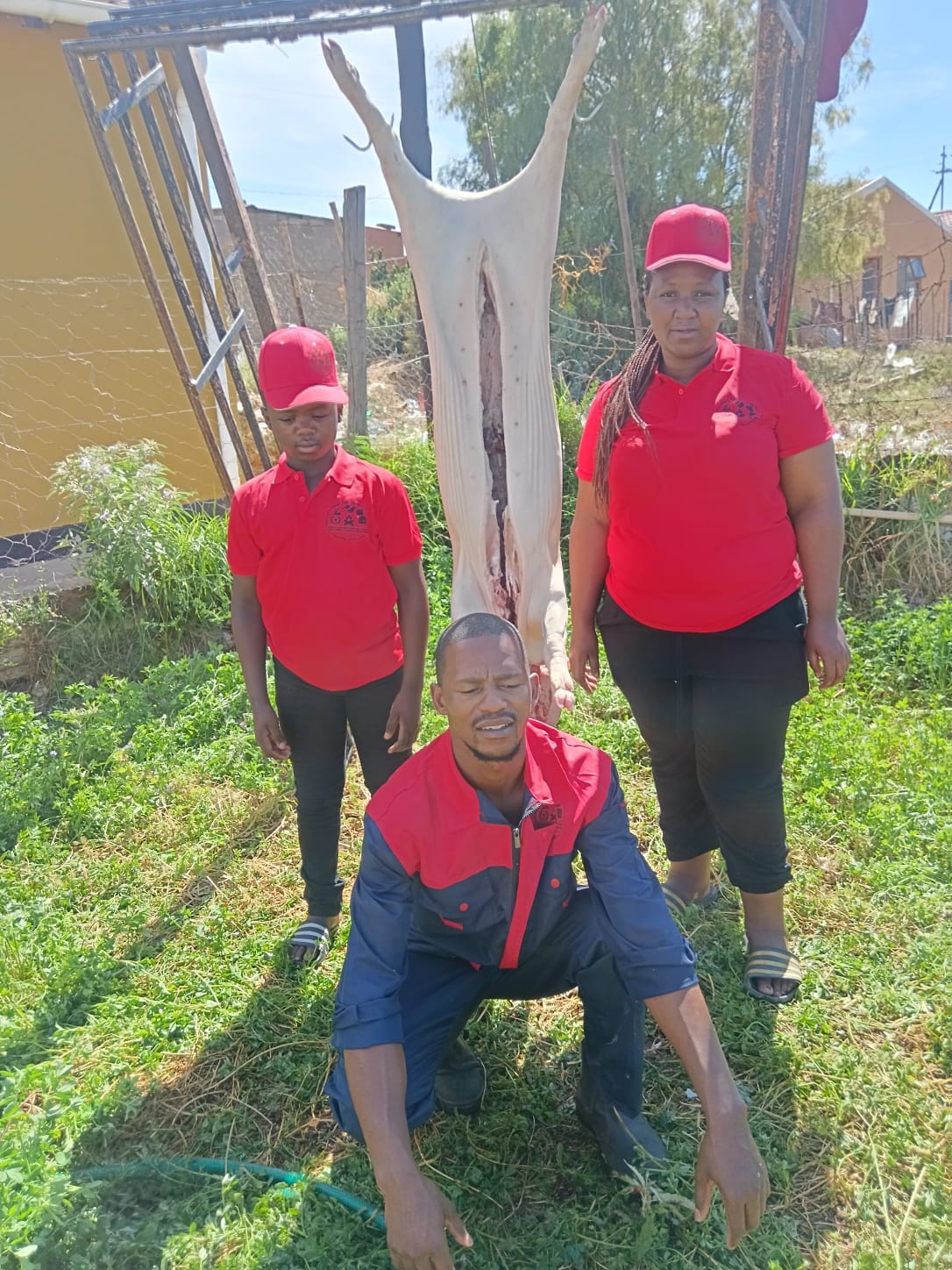 Pig farming & Butchery