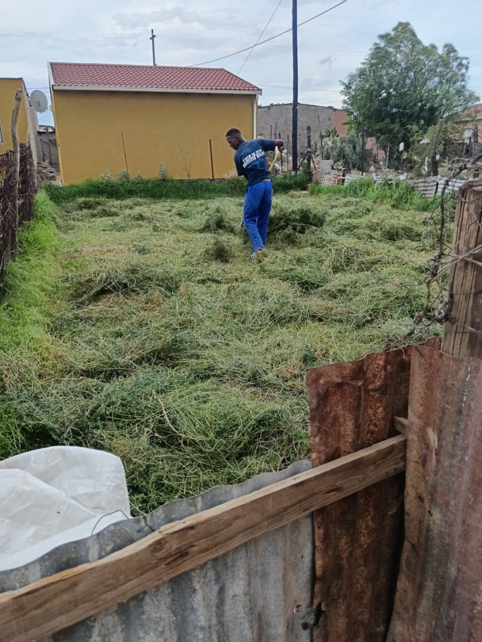 Garden & Cleaning Services